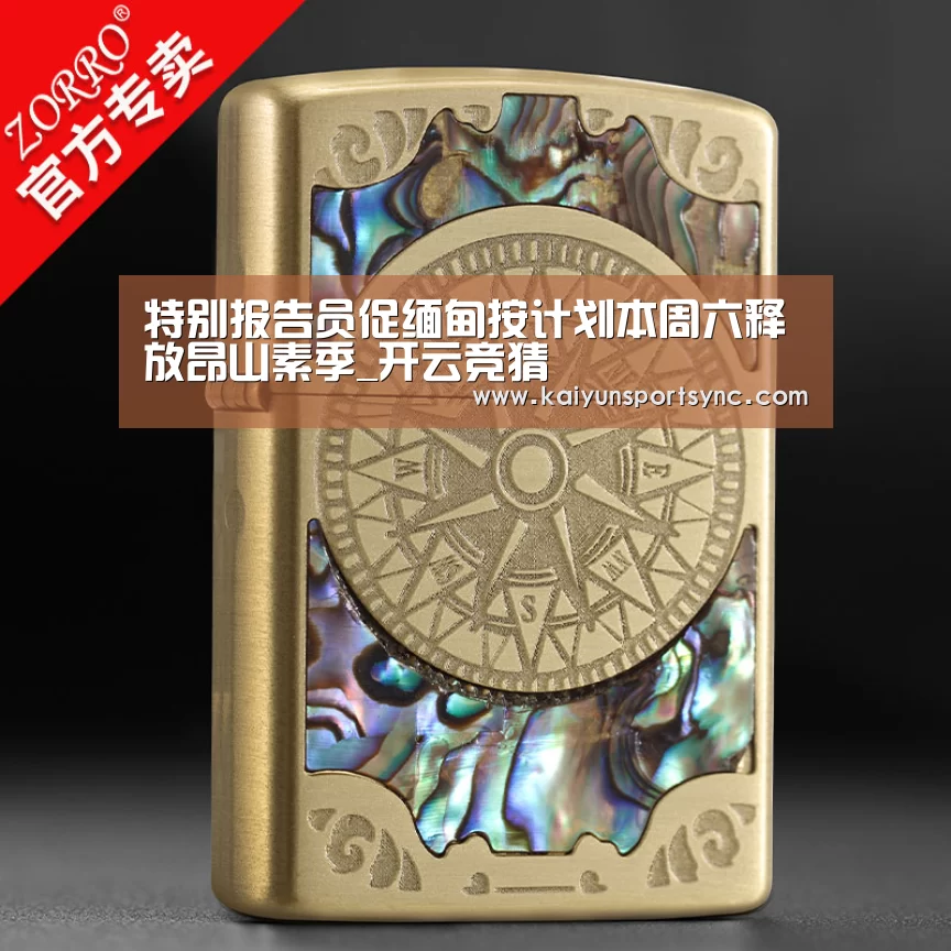 特别报告员促缅甸按计划本周六释放昂山素季_开云竞猜(图3) 开云体育
