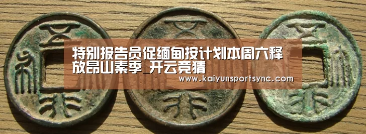 特别报告员促缅甸按计划本周六释放昂山素季_开云竞猜(图2) 开云体育
