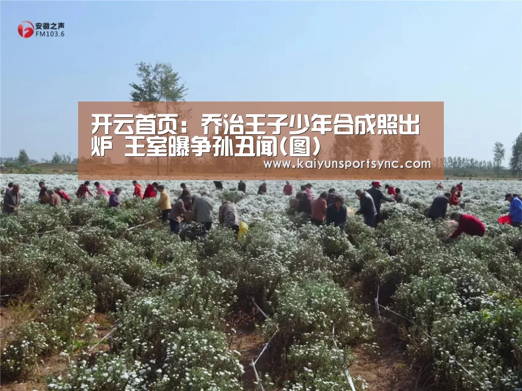 开云首页:乔治王子少年合成照出炉 王室曝争孙丑闻(图)(图1) 开云首页